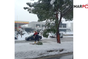 Büyükşehir Kış Mesaisini Sürdürüyor; Kırılan Dallara Anında Müdahale