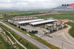 Canlı Hayvan Borsası Kurban Bayramı’na Hazır; Kurbanlık Satışları Başlıyor