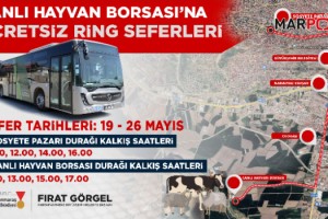 Canlı Hayvan Borsası’na Ücretsiz Ring Seferleri Başlıyor