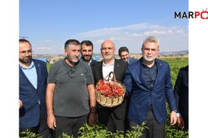 Başkan Görgel; “Dünya’nın En Güzel Biberi, Maraş Biberi Hasadımız Hayırlı ve Bereketli Olsun”