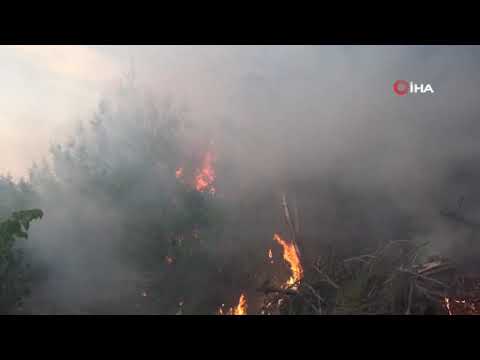 Kahramanmaraş'taki yangınlarda 65 hektar orman alanı zarar gördü